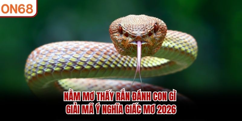 nam-mo-thay-ran-danh-con-gi-giai-ma-y-nghia-giac-mo-2026