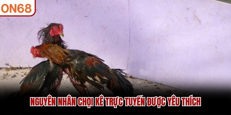 Nguyên nhân chọi kê trực tuyến được yêu thích